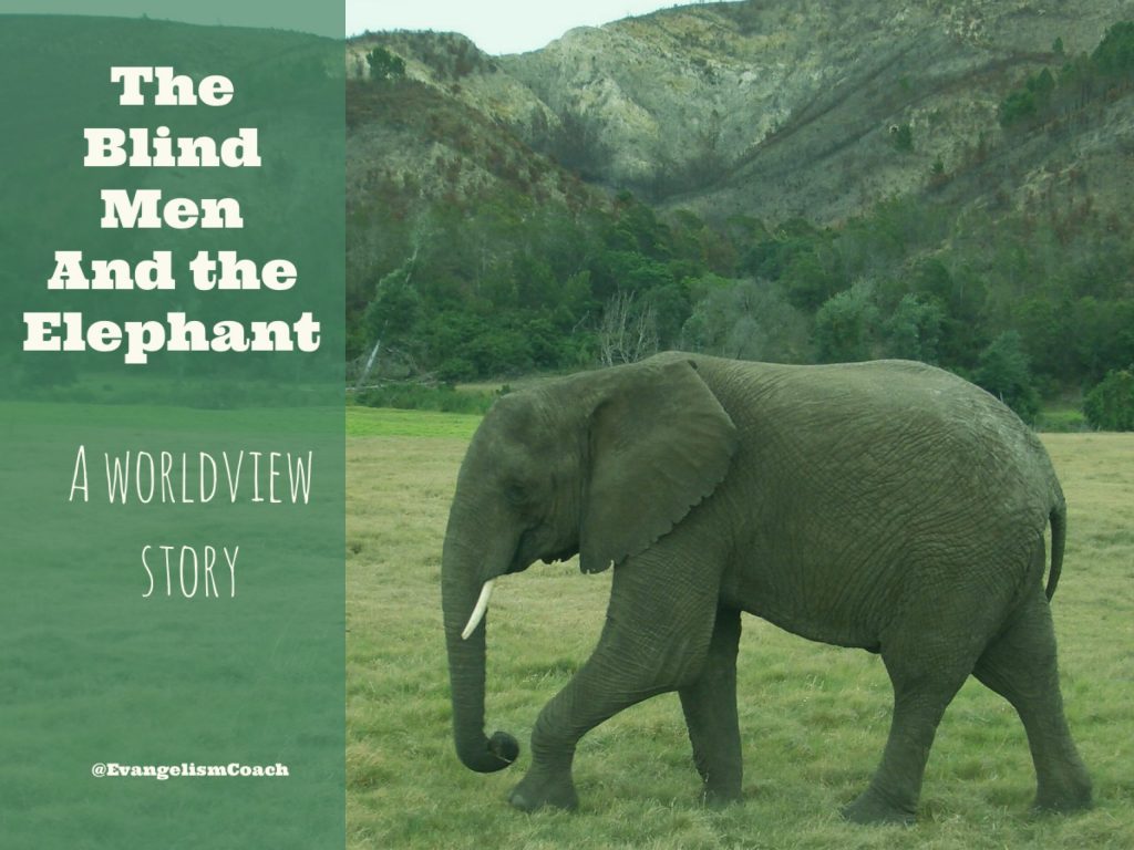 The blind men, the elephant and the zoo