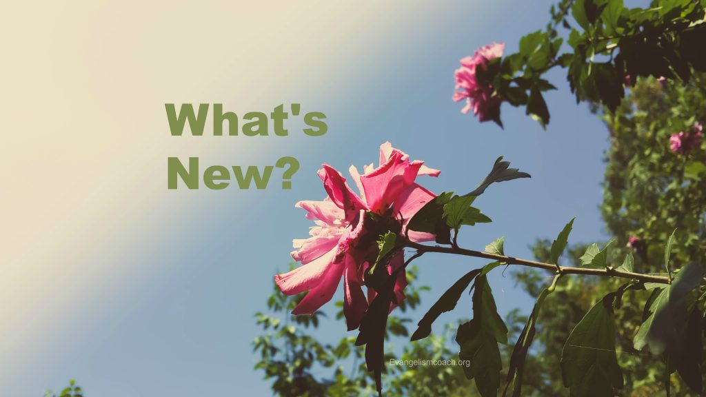 What's New Personal Evangelism Story