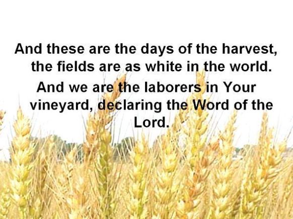 And these are the days of the harvest, the fields are as white in the world. And we are the laborers in your Vineyard, declaring the Word of the Lord.